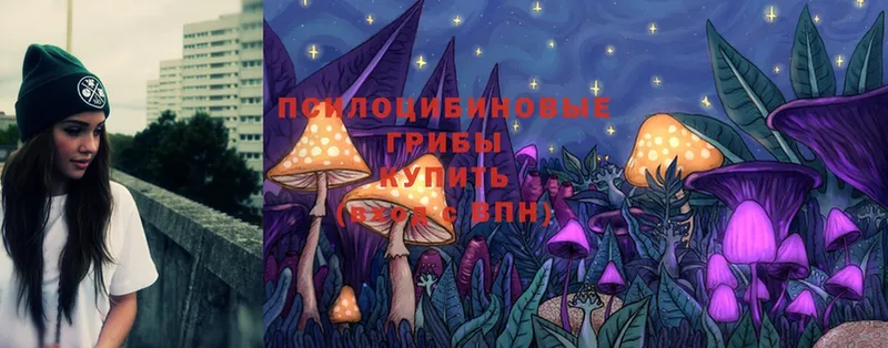 Галлюциногенные грибы MAGIC MUSHROOMS  закладка  Вихоревка 